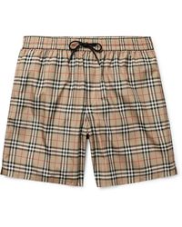 burberry swimsuit mens brown