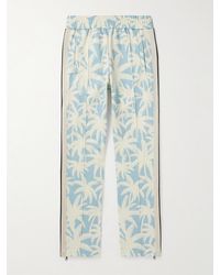 Palm Angels - Straight-leg Printed Striped Jersey Track Pants - Lyst