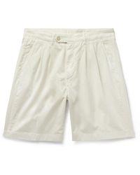 Canali - Straight-leg Pleated Cotton-blend Twill Bermuda Shorts - Lyst