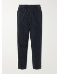 Barena - Straight-Leg Garment-Dyed Stretch Cotton-Moleskin Trousers - Lyst
