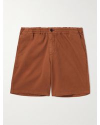MR P. - Straight-Leg Garment-Dyed Organic Cotton-Blend Twill Shorts - Lyst