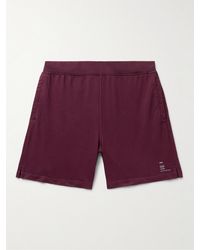 Onia Garment-dyed Cotton-jersey Shorts - Purple