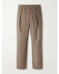 Kardo - Taka Straight-Leg Emrboidered Cotton-Corduroy Trousers - Lyst