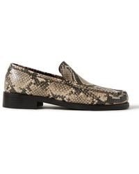 Acne Studios - Boafer Snake-effect Leather Loafers - Lyst
