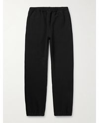 AURALEE - Tapered Cotton-jersey Sweatpants - Lyst