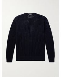 AURALEE - Open-knit Cotton Sweater - Lyst
