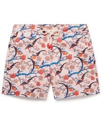 Orlebar Brown - Standard Straight-leg Mid-length Printed Swim Shorts - Lyst