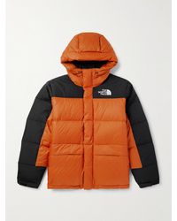 The North Face - Himalayan Quilted Ripstop And Shell Down Hooded Jacket - Lyst