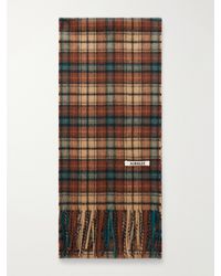 AURALEE - Fringed Checked Cashmere Scarf - Lyst
