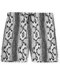 Wacko Maria Snake-print Shell Shorts - Gray