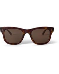 Mulberry - Monty Sunglasses Tortoiseshell - Lyst