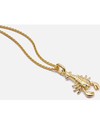 Daisy London - Lobster 18k Gold-plated Sterling Silver Necklace - Lyst
