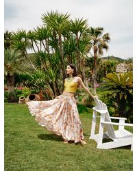 monarch maxi