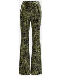 Diane von Furstenberg - Ruthette Printed Velvet Flared Pants - Lyst