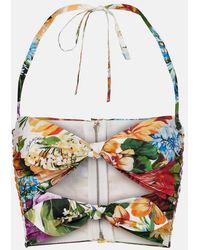Dolce & Gabbana - Cutout Floral Cotton Crop Top - Lyst