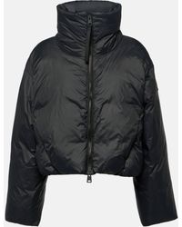 Canada Goose - Spessa Cropped Down Jacket - Lyst