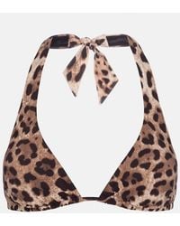 Dolce & Gabbana - Dolce & Gabbana Leopard Print Bikini Bottom - Lyst