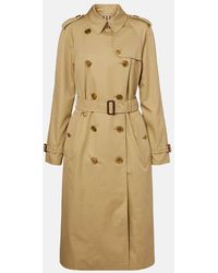 Burberry - Waterloo Cotton Gabardine Trench Coat - Lyst
