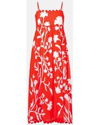 Juliet Dunn - Printed Scalloped Cotton Midi Dress - Lyst