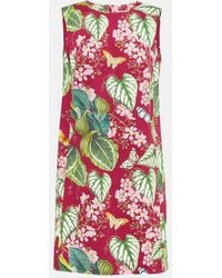 Oscar de la Renta - Floral Cotton-Blend Minidress - Lyst