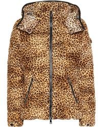 Moncler Bady Leopard Print Down Coat - Brown