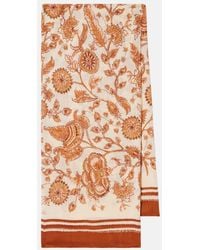 Loro Piana - Floral Cashmere And Silk Scarf - Lyst