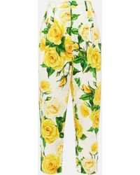 Dolce & Gabbana - Floral High-rise Cotton Cropped Pants - Lyst