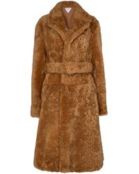 Bottega Veneta Fur Teddy Shearling Coat in Brown - Lyst