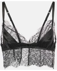 Dolce & Gabbana - Lace-Trimmed Satin Bralette - Lyst