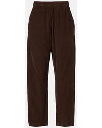 Velvet - Gerade Hose Laney Aus Baumwolle - Lyst