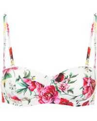 Dolce & Gabbana Bedrucktes Bikini-Oberteil - Mehrfarbig