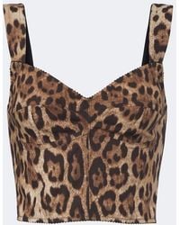 Dolce & Gabbana - Leopard-Print Cotton-Blend Bustier Top - Lyst