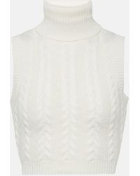 Max Mara - Oscuro Wool And Cashmere Turtleneck Top - Lyst