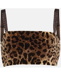 Dolce & Gabbana - Leopard-print Velvet Crop Top - Lyst