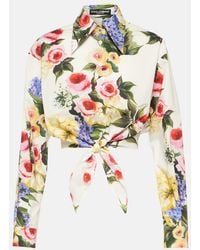 Dolce & Gabbana - Rose Garden Cropped Shirt - Lyst