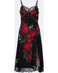 Dolce & Gabbana - Floral Silk And Cotton-Blend Slip Dress - Lyst