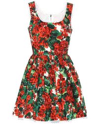 Dolce & Gabbana Miniabito a stampa floreale in cotone - Rosso