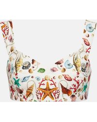 Dolce & Gabbana - Top raccourci Capri imprime en coton melange - Lyst