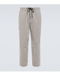 Dries Van Noten - Striped Cotton Straight Pants - Lyst