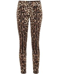 Dolce & Gabbana Pantaloni Pretty in cotone - Multicolore