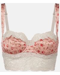 Dolce & Gabbana - Floral Lace-Trimmed Silk And Cotton Bra - Lyst