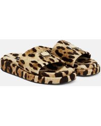 Dolce & Gabbana - Logo Leopard-print Terrycloth Slides - Lyst