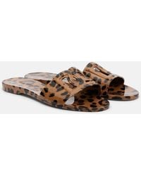 Dolce & Gabbana - Dg Leopard-Print Slides - Lyst