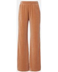 Chloé - Cotton-Blend Velour Sweatpants - Lyst