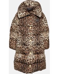 Dolce & Gabbana - Leopard-print Puffer Coat - Lyst