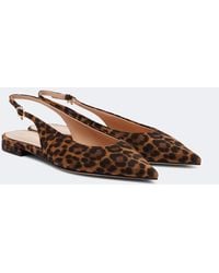 Gianvito Rossi - Robbie Leopard-Print Suede Slingback Flats - Lyst
