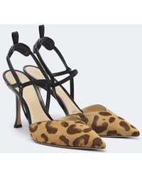 Fendi - Colibri Leopard-Print Calf Hair Slingback Pumps - Lyst