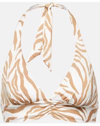 Max Mara - Alberta Zebra-print Bikini Top - Lyst