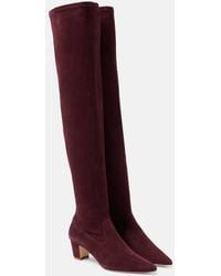 Manolo Blahnik - Overknee-Stiefel Lupasca 50 Aus Veloursleder - Lyst