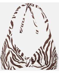 Max Mara - Allegra Zebra-print Bikini Top - Lyst